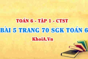 Bài 5 trang 70 SGK Toán 6 Chân trời sáng tạo Tập 1